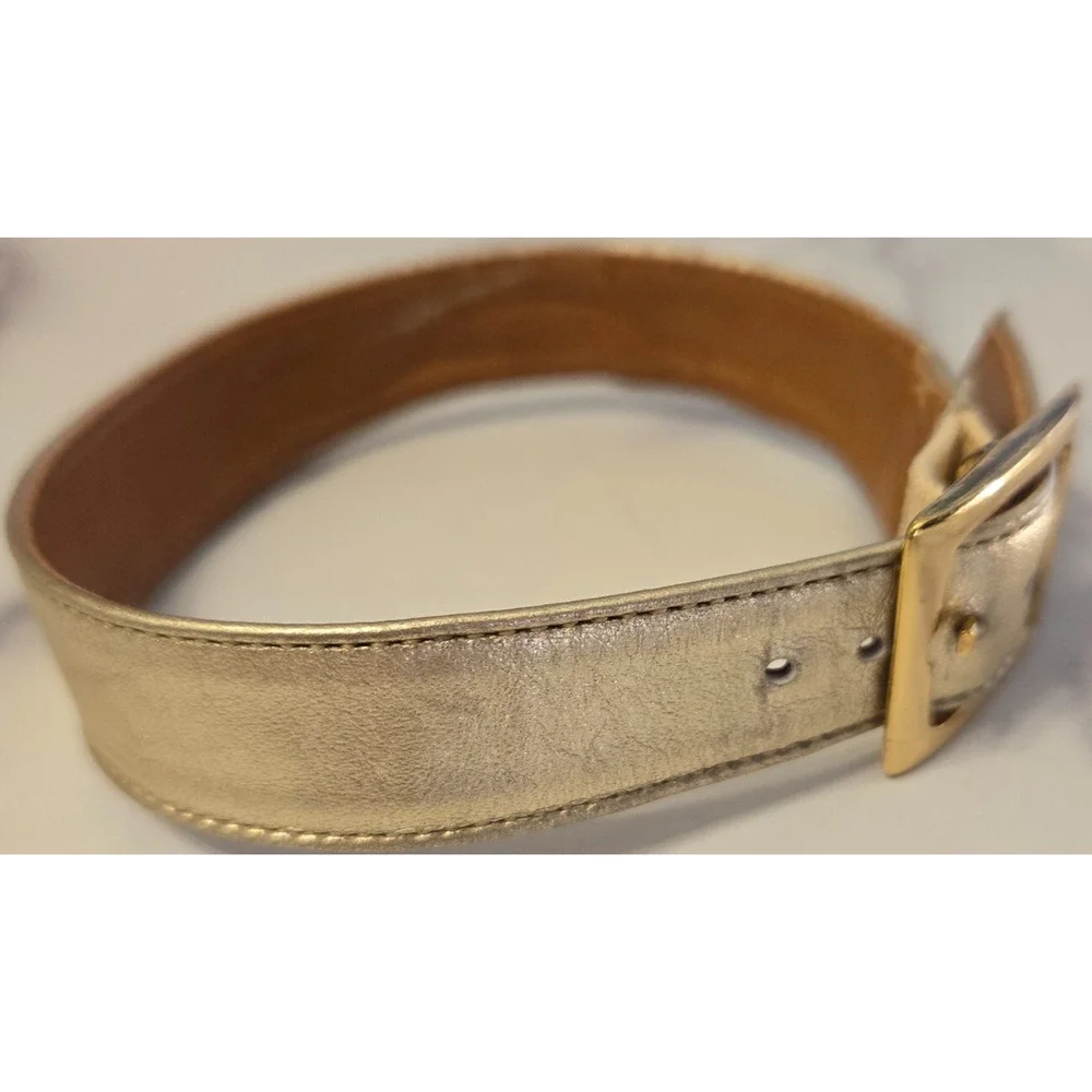 Puppy Dog Collar Gold Metallic Vegan Leather 11.5